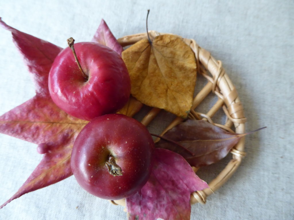 数枚敷いた落ち葉の上に姫リンゴ2コを左に置いた写真写真