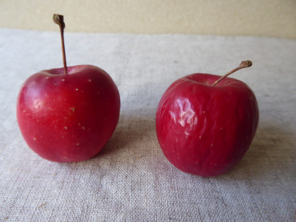赤い姫リンゴの新しい物と古い物を並べた写真