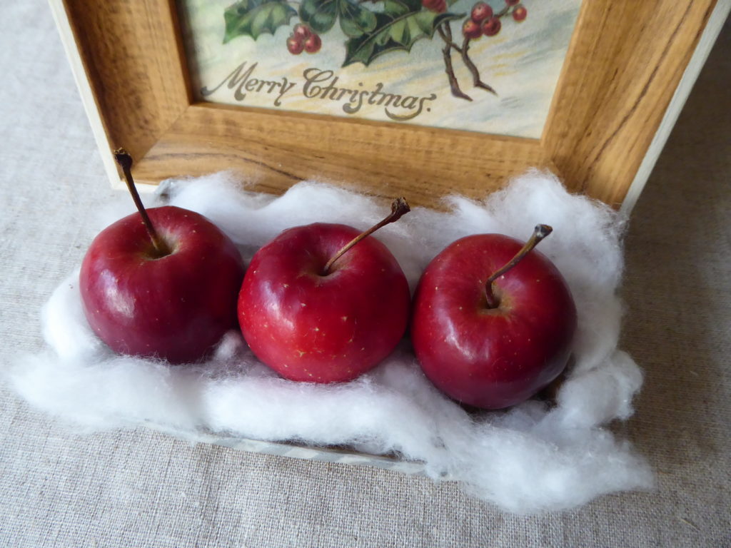 姫リンゴ3コを置いたところへ綿をすき間に敷き詰めた写真