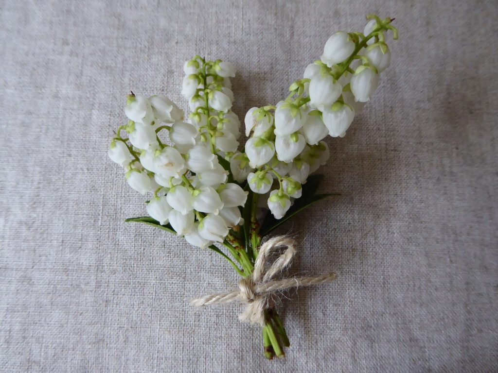 屋久島アセビの花を麻ヒモで束ねた写真