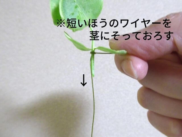 ワイヤリングの解説写真：ワイヤーを巻き付けた茎に沿って短いワイヤーを下に下げた写真