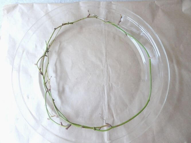 サンキライのツルを輪にしてガラス皿に置いた写真