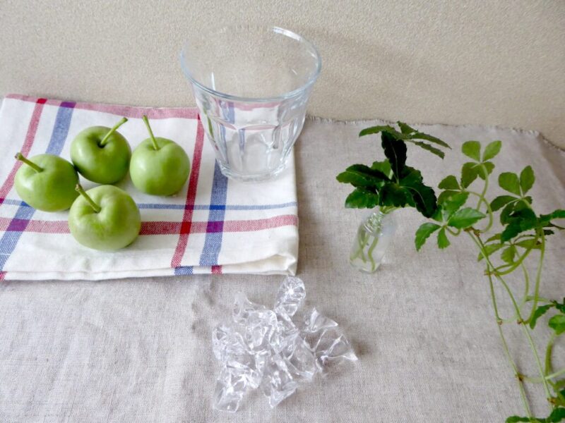 グラスに青姫リンゴを飾るために使う材料一覧写真