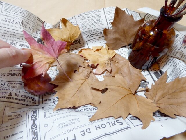 英字新聞のトレイに落ち葉を敷く写真