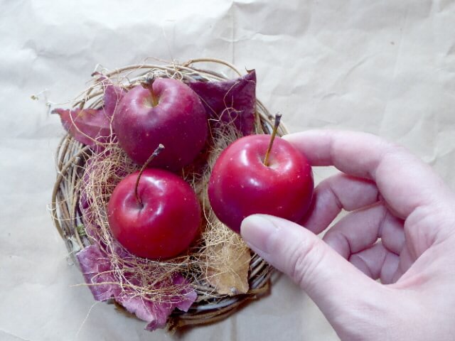 ヤシファイバーの上に姫リンゴを置く写真